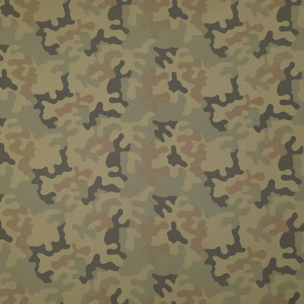 wz.webp